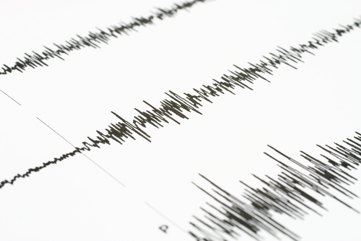 Seismic wave graph on a white paper